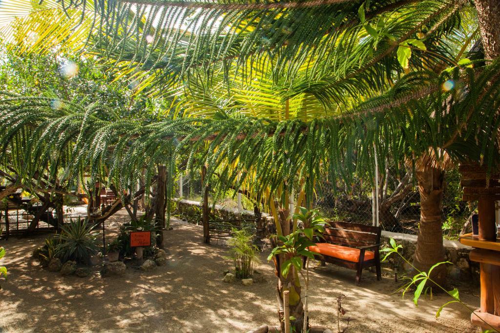 Villa Los Mangles Boutique Hotel Isla Holbox Ngoại thất bức ảnh